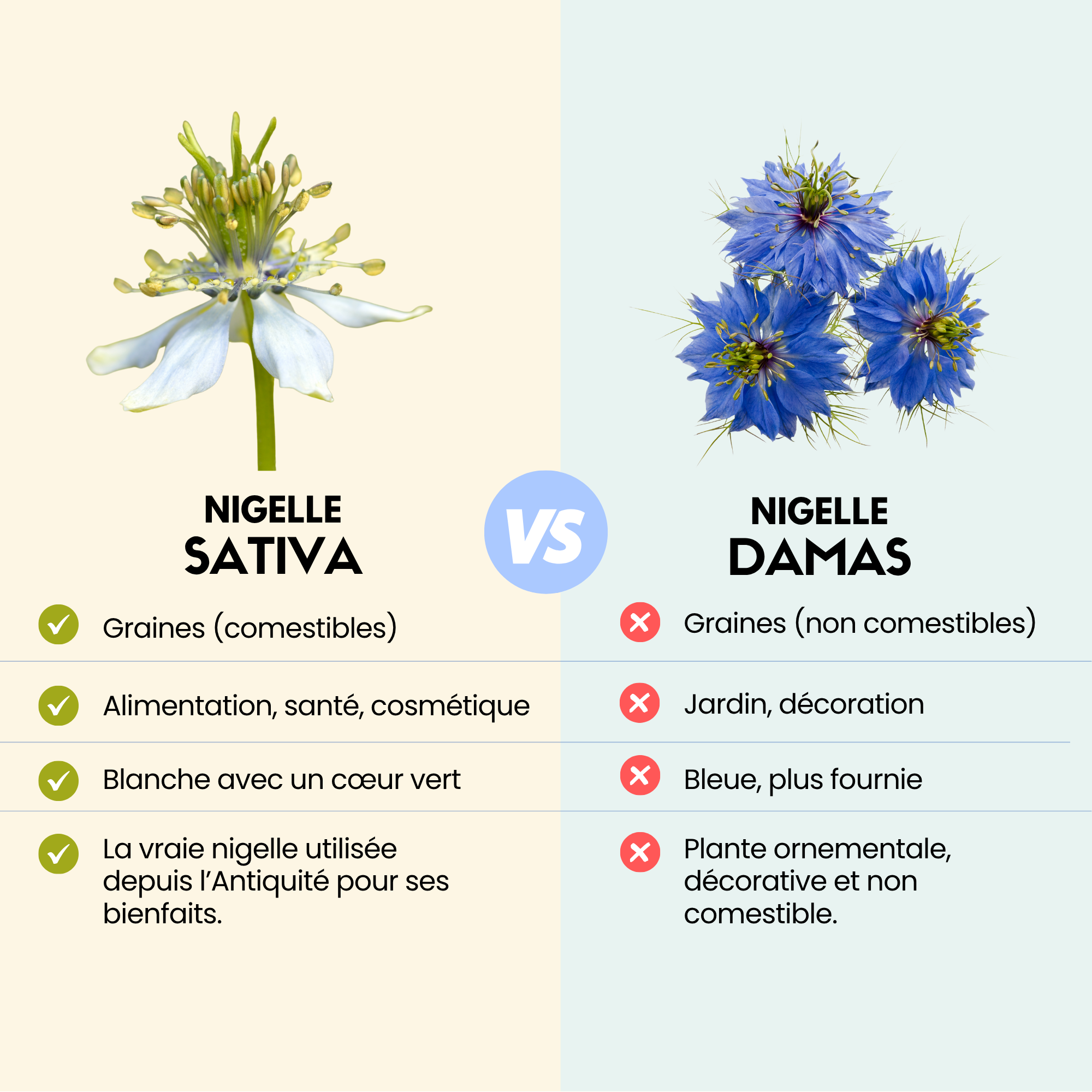 2nopp.fr-sative-huile-explication-difference