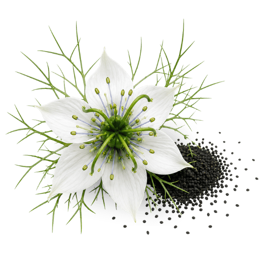 Nigelle